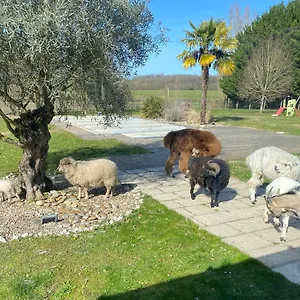le-truc-bidule.hotels-rhonealpes.com/